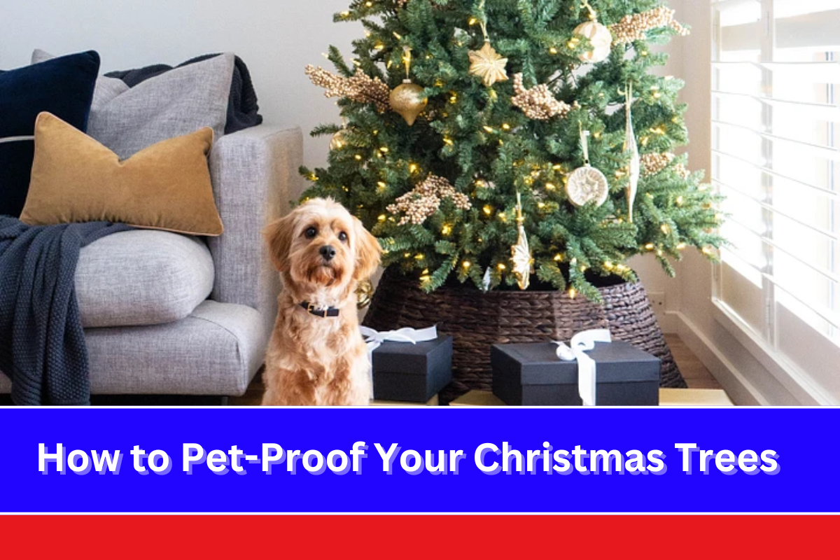 How to Pet-Proof Your Christmas Trees